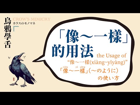 「像～一樣」的使用方法 / "The usage of '像～一樣'" / 「～のように」の使い方