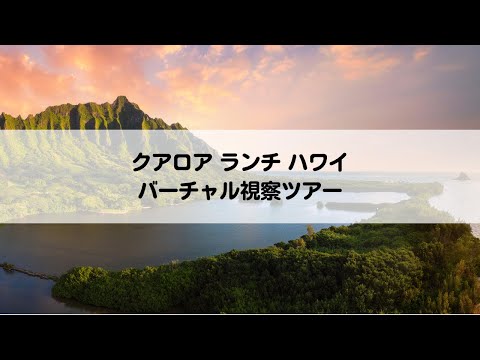 バーチャル視察ツアー: クアロア ランチ ハワイ