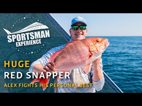 The Sportsman Experience Shorts - Giant Red Snapper + Cameraman Grabs A Rod