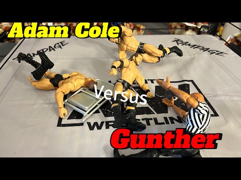 Adam Cole versus Gunter for the TNT championship