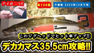 【千葉県 房総】デカカマス!!アイが二つのこのジグヘッドでヒット率アップ!!そして進化バージョンも!!【ルアー釣り/ワーム/デルタマジックヘビー】