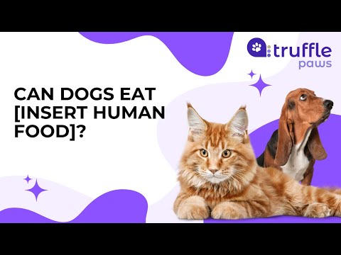 Can Dogs Eat [Insert Human Food]?