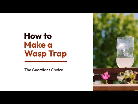 How to Make an Easy Wasp Trap Using Recycle Water Bottles | The Guardans Choice