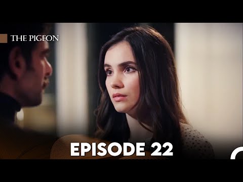 The Pigeon Episode 22 (FULL HD)