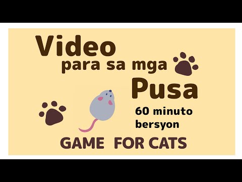 Video para sa mga pusa　60 minuto