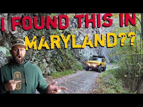 Maryland's Hidden Secret Explored! Green Ridge Forest Overlanding