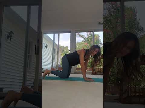 30 Minute Basic Yoga Practice