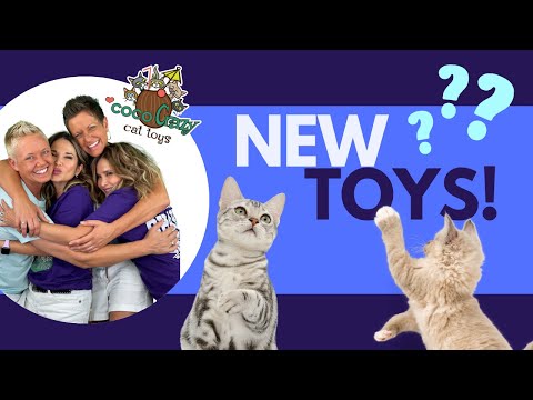 Introducing Our New Organic Cat Toys for Interactive Playtime! 🎉 | Coco Crazy Cat Toys