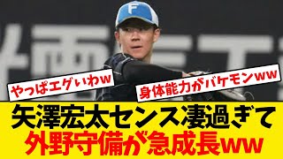 【日本ハム】矢澤宏太、センス凄過ぎて外野守備が急成長してしまうwwwwww