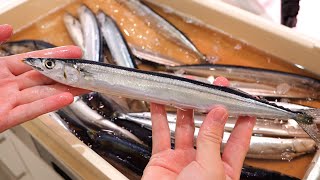 Pacific Saury, which looks like a pencil, is delicious when eaten this way!