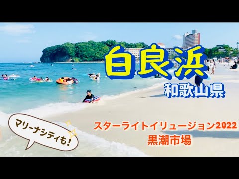 和歌山県「白良浜」海水浴🏖✨夜はマリーナシティの花火で夏を満喫！！✨