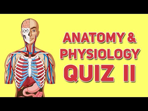 Anatomy and Physiology Quiz ( Part II )