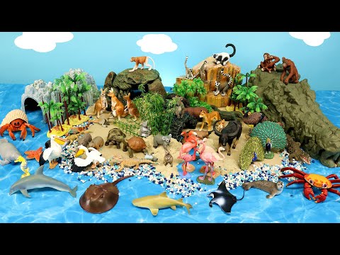 Island Diorama with Land and Sea Animal Figurines