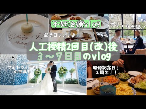 【不妊治療】人工授精後のvlog/結婚記念日/2年間を振り返る/フォトウェディング/記念日ランチ/セルフネイル/記念日ごはん/夫'sキッチン/ツリー購入/1人目妊活中