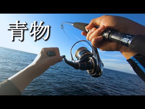 真夏の青物は引きが強すぎる【ショアジギ×紀北ジギング】