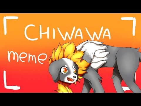 Chiwawa [ANIMATION MEME]