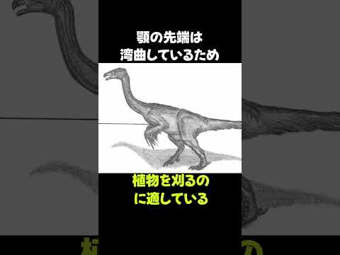 獣脚類なのに草食な「エルリコサウルス」の生態 #動物 #生き物 #shorts #雑学 #豆知識 #おもしろい #恐竜