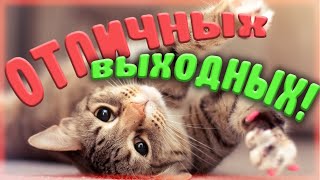 ОТЛИЧНЫХ ВЫХОДНЫХ!!!🤩😻😜 весёлых и радостных!🎉🎉🎉пожелание отличных выходных