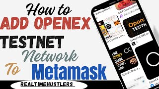 How to Add OpenEx Testnet Network to MetaMask | Step-by-Step Guide