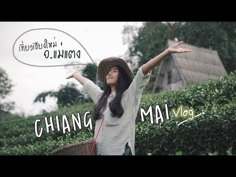 Vlog เชียงใหม่ l เที่ยวไร่ชาลุงเดช ดอยม่อนเงาะ น้ำตกหมอกฟ้า [#SUKIIEFAV]