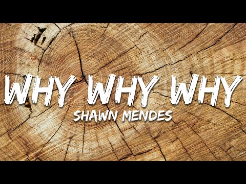 Shawn Mendes - Why Why Why (Lyrics)