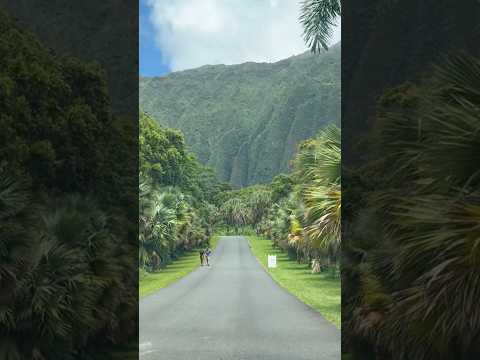 Beautiful Hoʻomaluhia Botanical Garden in windward Oʻahu, Hawaii 💚💚