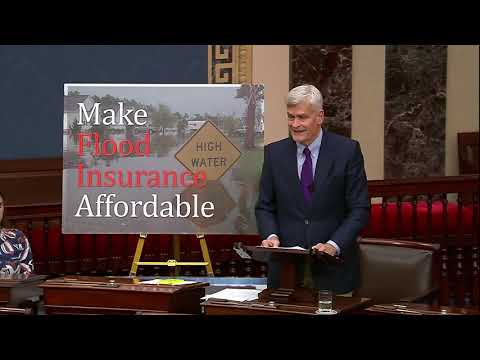 Cassidy Delivers Floor Speech on Flood Insurance