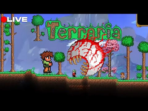 terraria summonner master กับเหล่าพี่ๆติดเกม Ep1