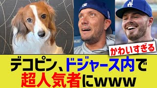 デコピン、ドジャース内で超人気者にwww