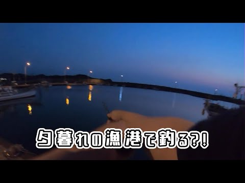 夕暮れの漁港でちょっとだけ魚を狙ってみる。釣れるのか？