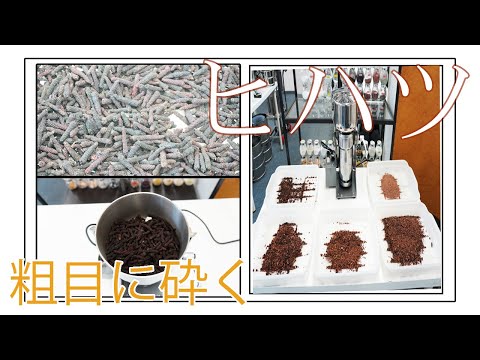 【フリースピードミル】ヒハツを粗目に砕く