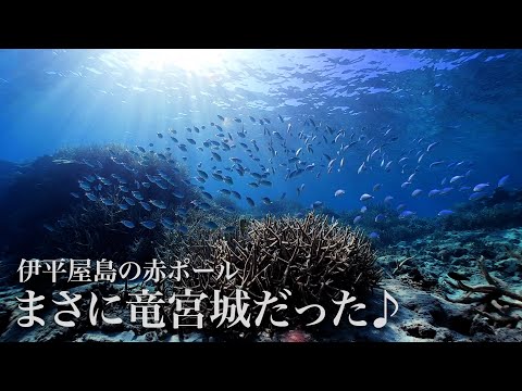 伊平屋島（沖縄）の絶景穴場スポット赤ポールでシュノーケリングしてみた