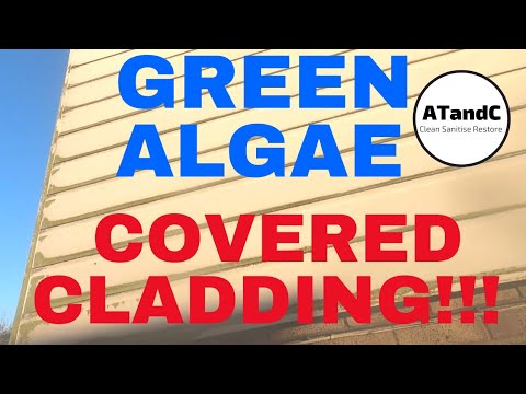 Satisfying green algae covered cladding #watchthedirtdisappear