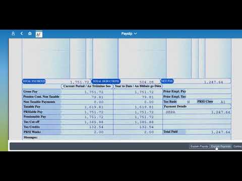 NiSRP Employee Self Service Training Tutorial: My Payslip