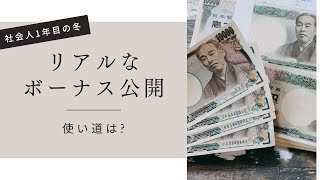 社会人1年目の冬のリアルなボーナス公開と使い道