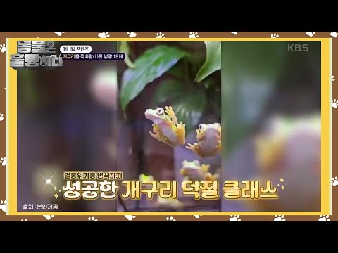 개구리를 짝사랑(?)한 낭랑 18세 [동물은 훌륭하다] | KBS 241223 방송