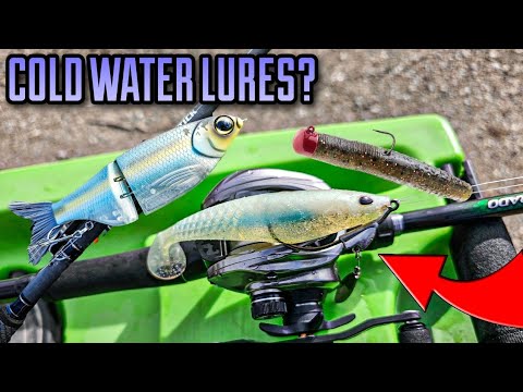 Are Swimbaits OVERRATED? (Cold Water Bass Fishing)