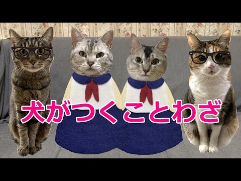 猫姉妹の学校ごっこ！関西弁おしゃべりペット