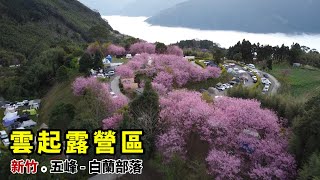 雲起露營區｜新竹五峰-白蘭部落｜山上人家森林農場｜櫻花季｜竹東邱記排骨酥麵