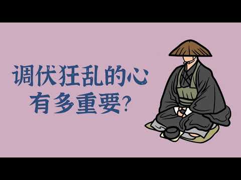 调伏狂乱的心有多重要？——禅修