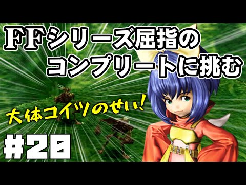 【FF9】最強の召喚士エーコが誰も見たことがない究極のデータを目指します（第20話～低レベル攻略最大の難所）