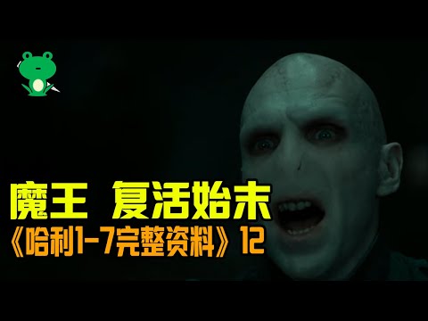 【細品哈利12】系列·深度解讀：火盃的考驗/火焰杯