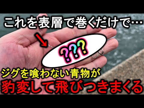 ジグに全く反応しない青物…そんな時はこのルアーを使えば態度が豹変して爆釣出来ます