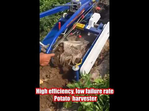 High efficiency, low failure rate Potato  harvester