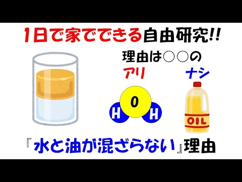 【自由研究】1日で簡単にできる水と油が混ざらない理由と混ぜる実験。諦めたらそこで試合終了ですよ。【極性】【界面活性剤】