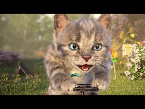 Little Kitten My Favorite Cat -  Pet Racing - Bike & Kart Racer - Beach And Town Part 2