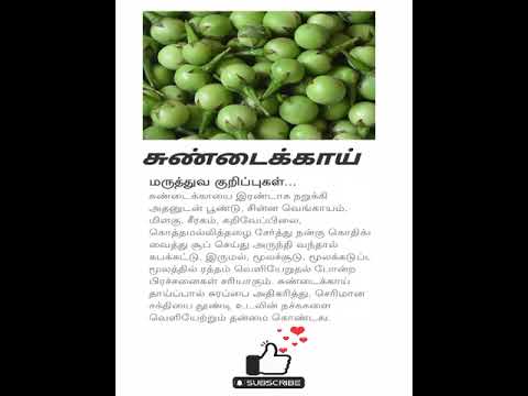 சுண்டைக்காய் | Sundakkai Benefits in Tamil  #shorts