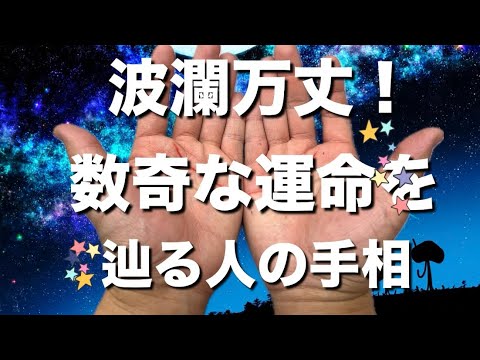 【波瀾万丈】数奇な運命を辿る選ばれた人の手相 #手相  #手相占い  #開運  #スピリチュアル  #占い  #金運  #雑学  #運勢 #運気