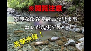 【閲覧注意】釣りの最中に、衝撃的な光景に遭遇した‼️ コレはヤバい！Sad incident! One life was sacrificed.