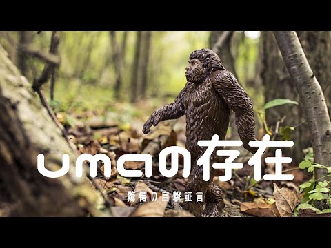 謎の未確認動物（UMA）の存在！驚愕の目撃証言と科学的分析！